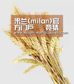 米兰(milan)官方门户 - 竞猜资讯一网打尽