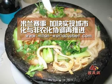 米兰赛事_加快实现城市化与非农化协调再推进(图2) 米兰导航