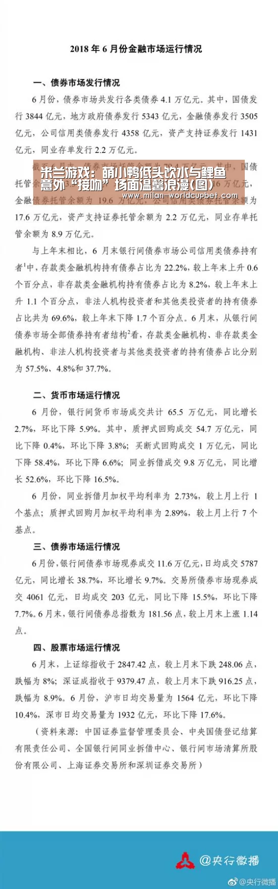 米兰游戏:萌小鸭低头饮水与鲤鱼意外“接吻”场面温馨浪漫(图)(图2) 米兰游戏