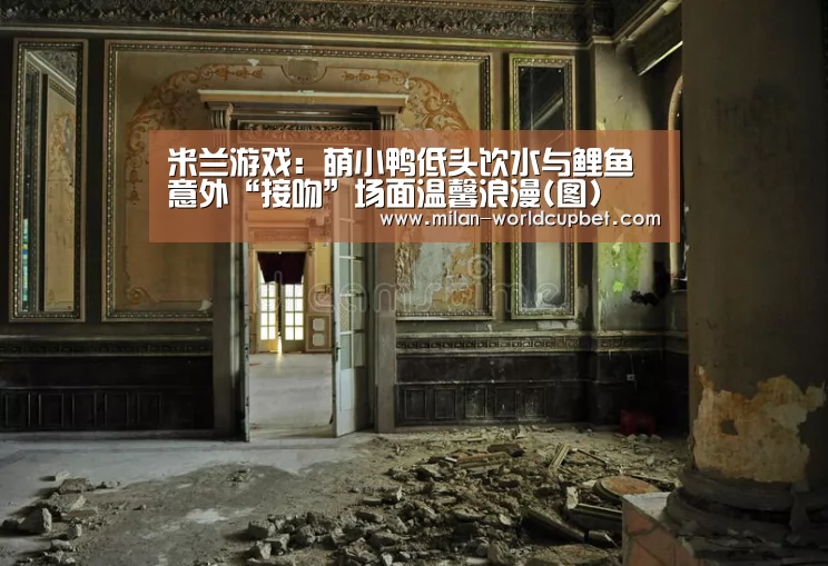 米兰游戏:萌小鸭低头饮水与鲤鱼意外“接吻”场面温馨浪漫(图)(图3) 米兰赛事