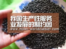 米兰游戏