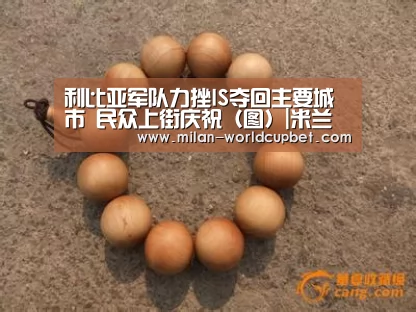 利比亚军队力挫IS夺回主要城市 民众上街庆祝(图)|米兰导航(图3) 米兰品牌