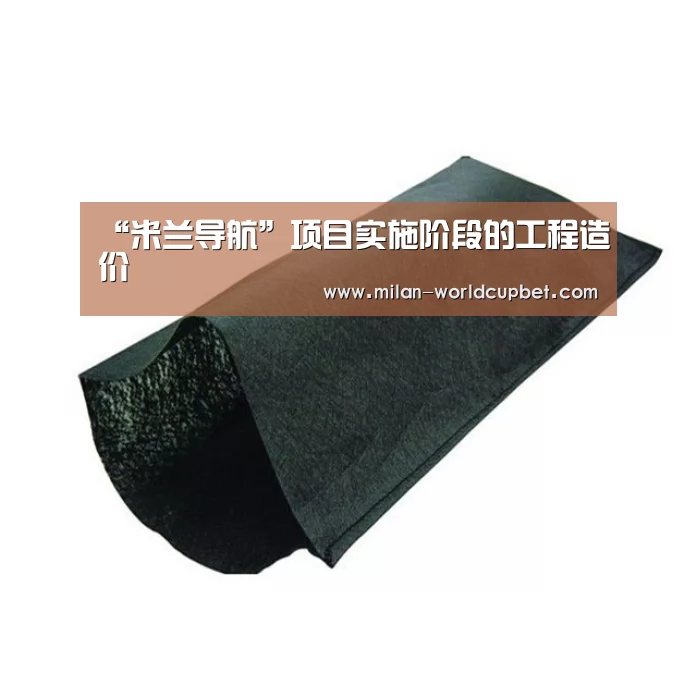 “米兰导航”项目实施阶段的工程造价(图2) 米兰赛事
