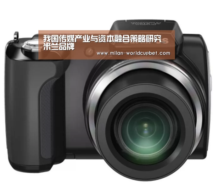 我国传媒产业与资本融合策略研究_米兰品牌(图3) 米兰品牌