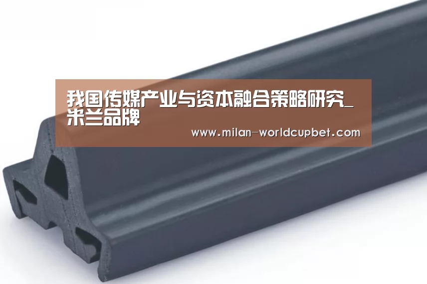 我国传媒产业与资本融合策略研究_米兰品牌(图1) 米兰导航