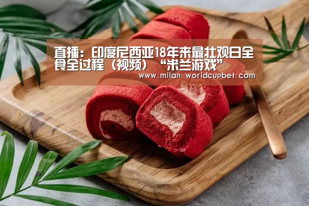 直播:印度尼西亚18年来最壮观日全食全过程(视频)“米兰游戏”(图1) 米兰导航