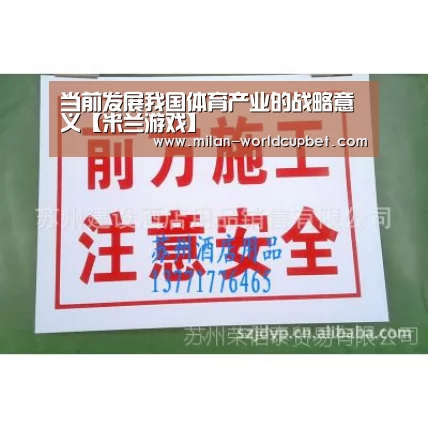 当前发展我国体育产业的战略意义【米兰游戏】(图2) 米兰品牌