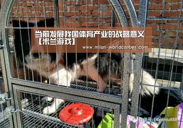 当前发展我国体育产业的战略意义【米兰游戏】(图3) 米兰游戏