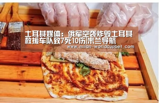 土耳其媒体:俄军空袭炸毁土耳其救援车队致7死10伤|米兰导航(图1) 米兰导航