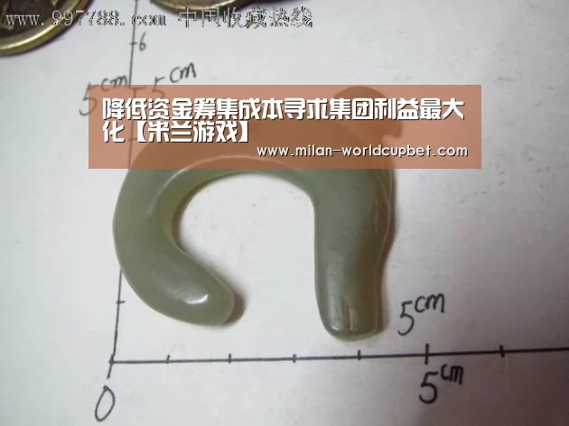 降低资金筹集成本寻求集团利益最大化【米兰游戏】(图1) 米兰赛事