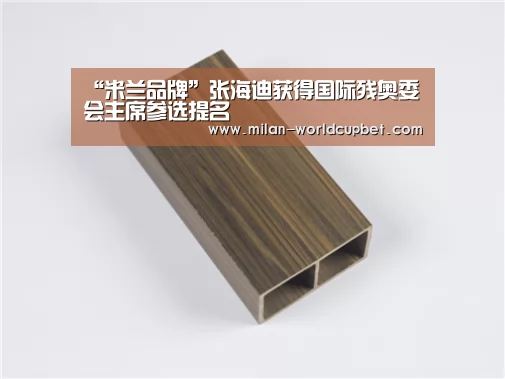 “米兰品牌”张海迪获得国际残奥委会主席参选提名(图2) 米兰游戏