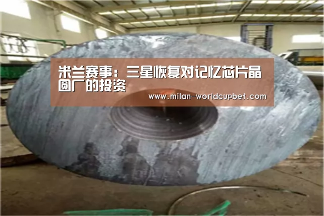 米兰赛事:三星恢复对记忆芯片晶圆厂的投资(图2) 米兰品牌