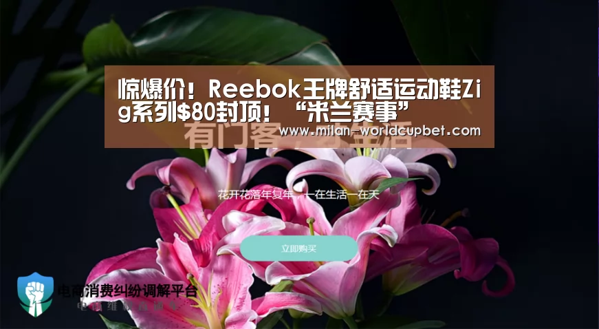 惊爆价!Reebok王牌舒适运动鞋Zig系列$80封顶!“米兰赛事”(图2) 米兰品牌