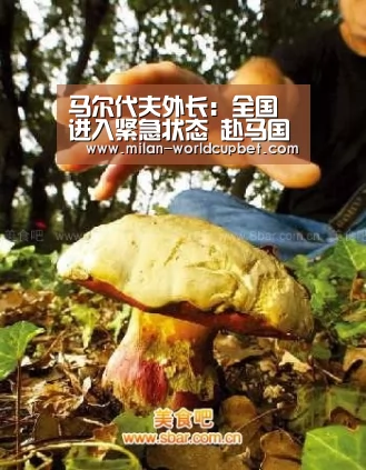 马尔代夫外长:全国进入紧急状态 赴马国际游客安全‘米兰赛事’(图1) 米兰品牌